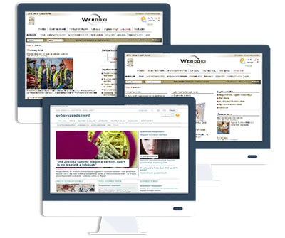 MediaMedica Médiaügynökség partnere a Webdoki felületeiről kép.